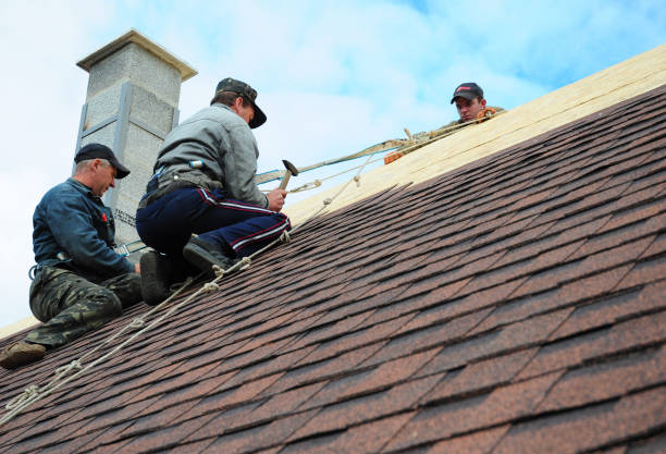 Quick and Trustworthy Emergency Roof Repair Services in Grove Hill, AL